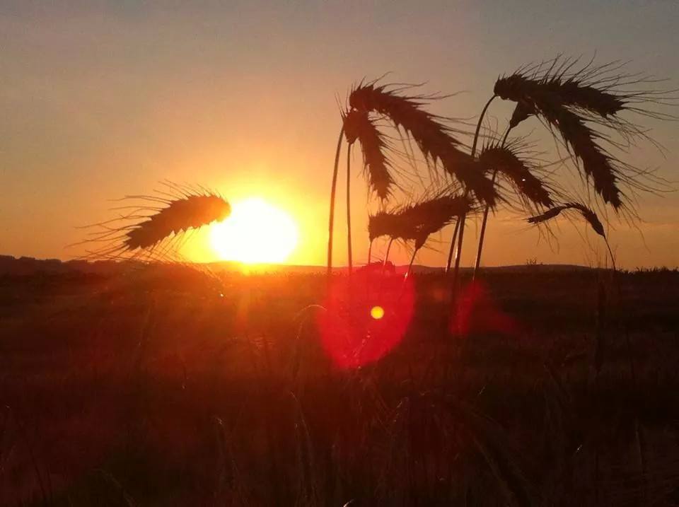 Fotografia in Natură