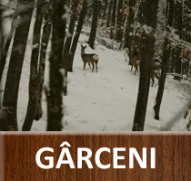 Gârceni