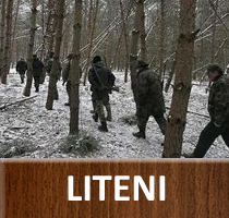 Liteni