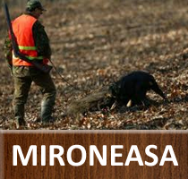 Mironeasa