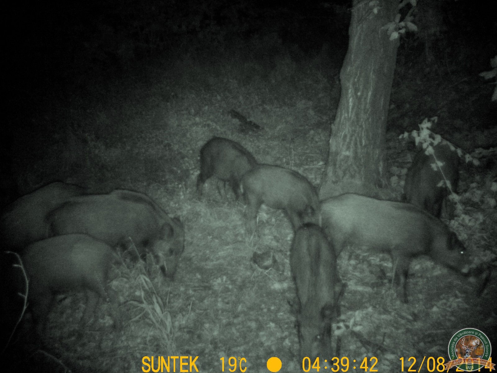 avps-lr-hunters-animale-22