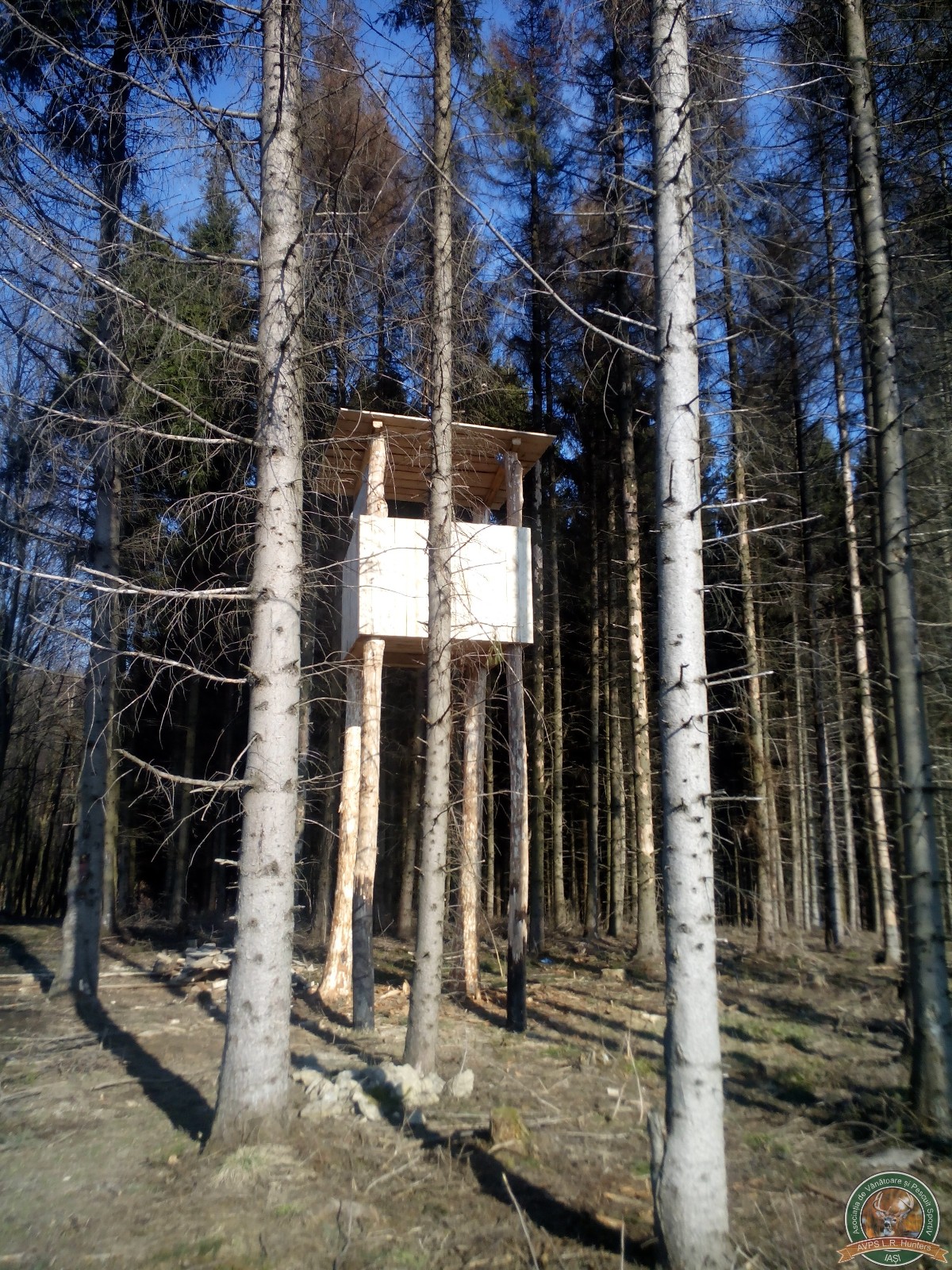 avps-lr-hunters-constructii_vanatoaresti-21
