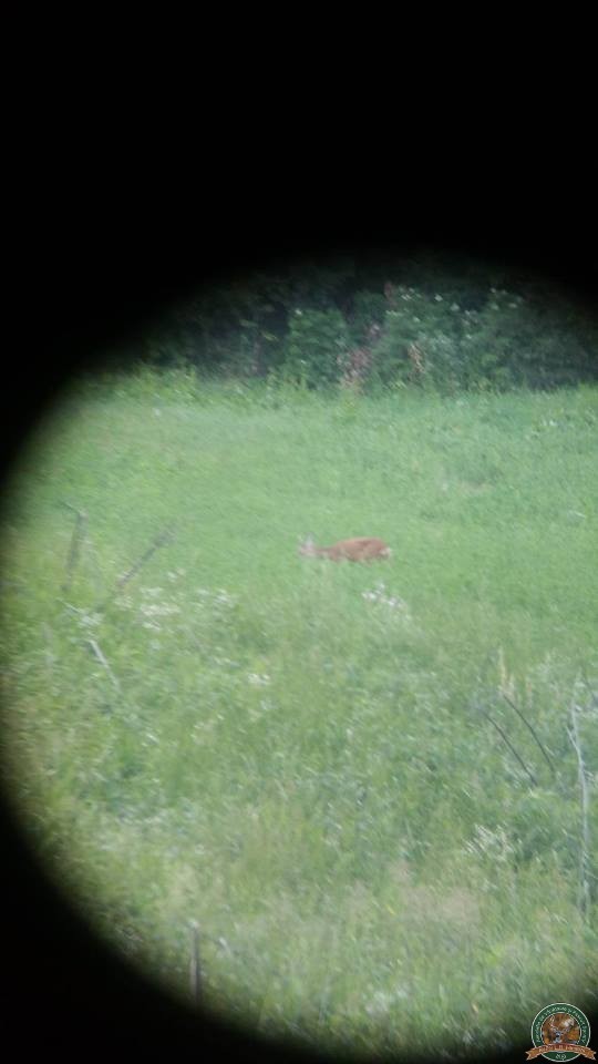avps-lr-hunters-borosesti_11-22