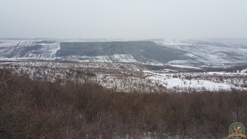 avps-lr-hunters-borosesti_11-29