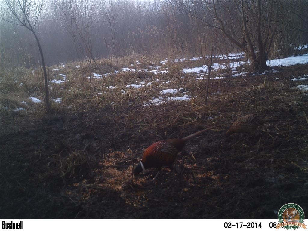 avps-lr-hunters-borosesti_11-57