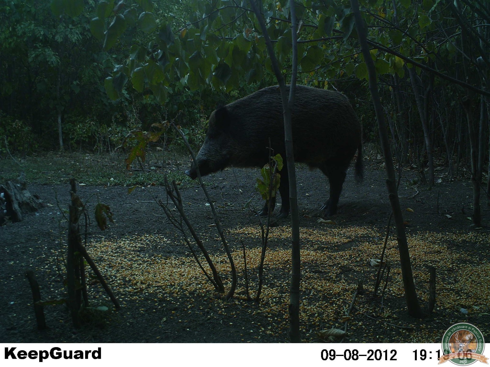 avps-lr-hunters-crasnita_48-10
