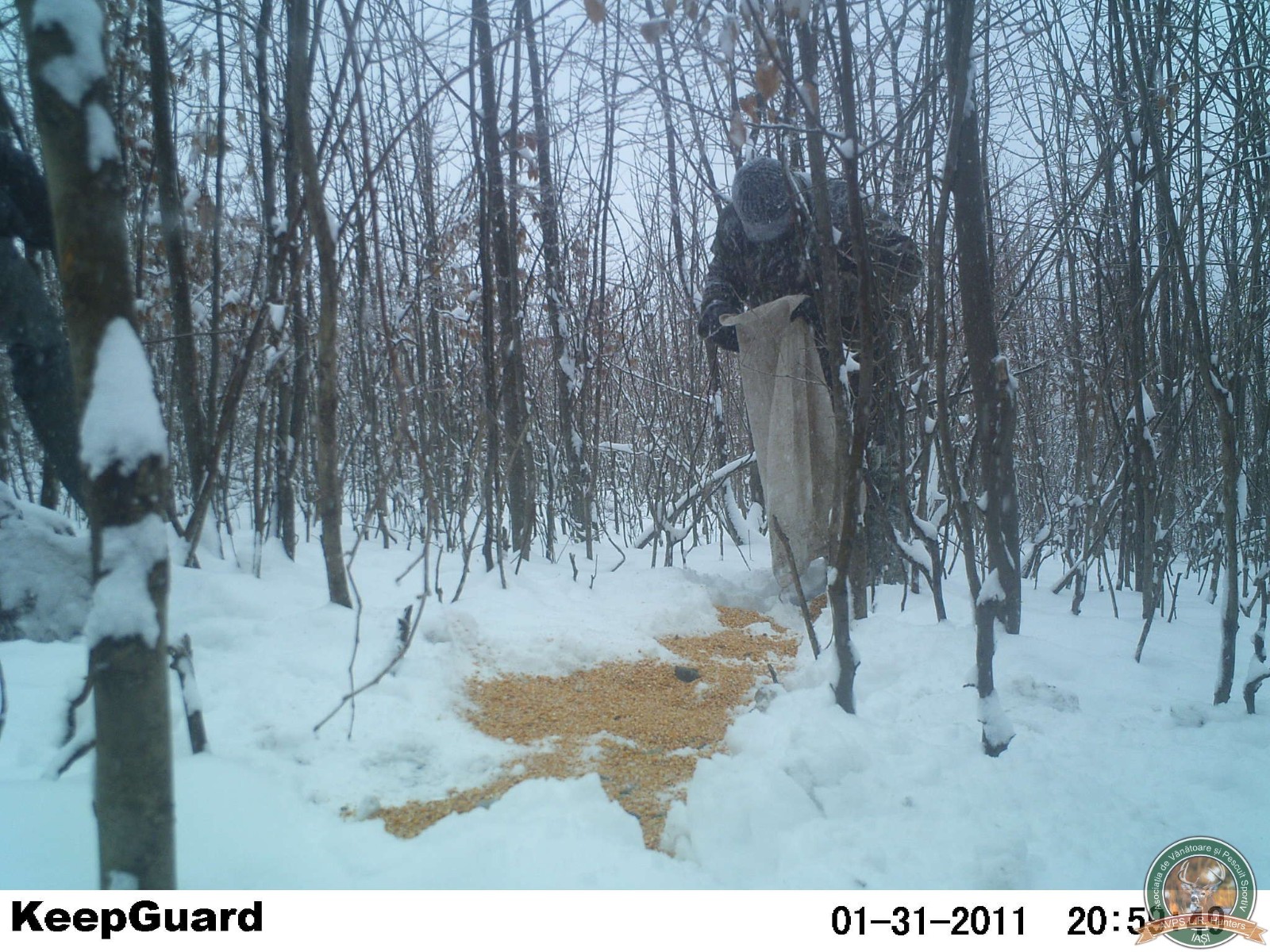 avps-lr-hunters-crasnita_48-15
