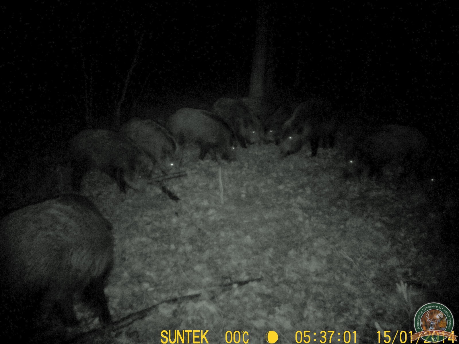 avps-lr-hunters-garceni_4-23