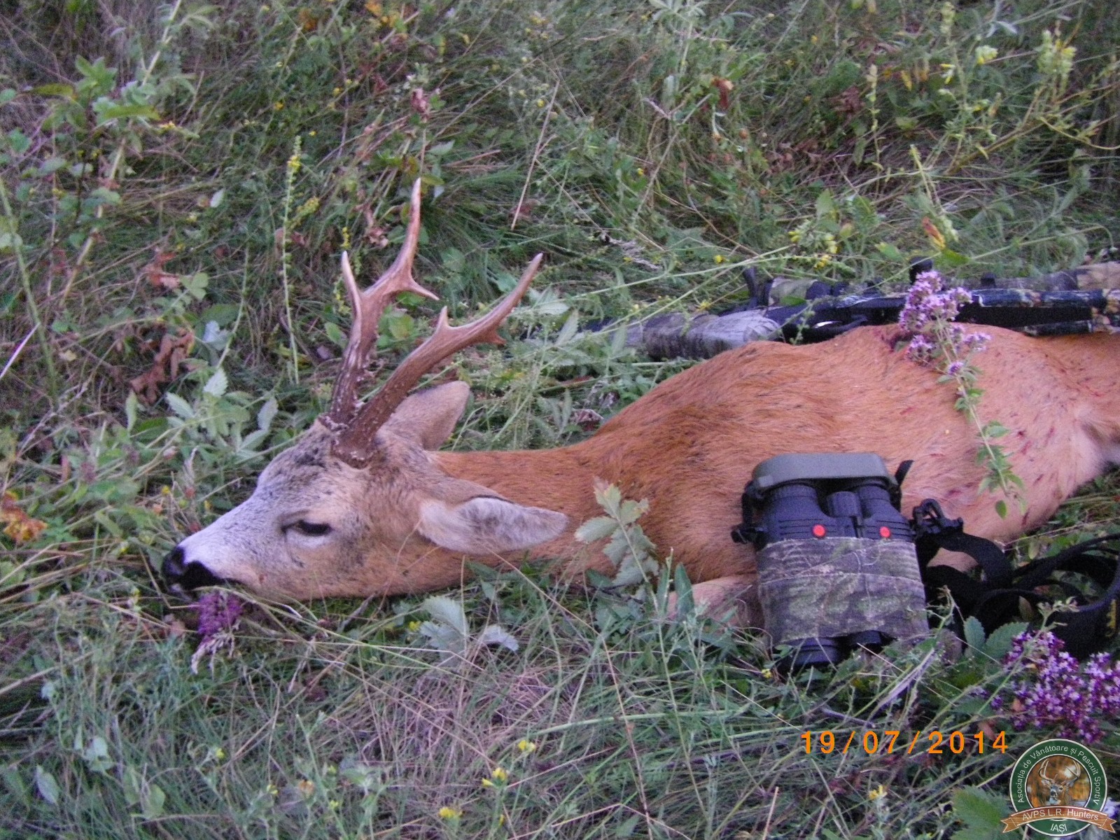 avps-lr-hunters-garceni_4-40