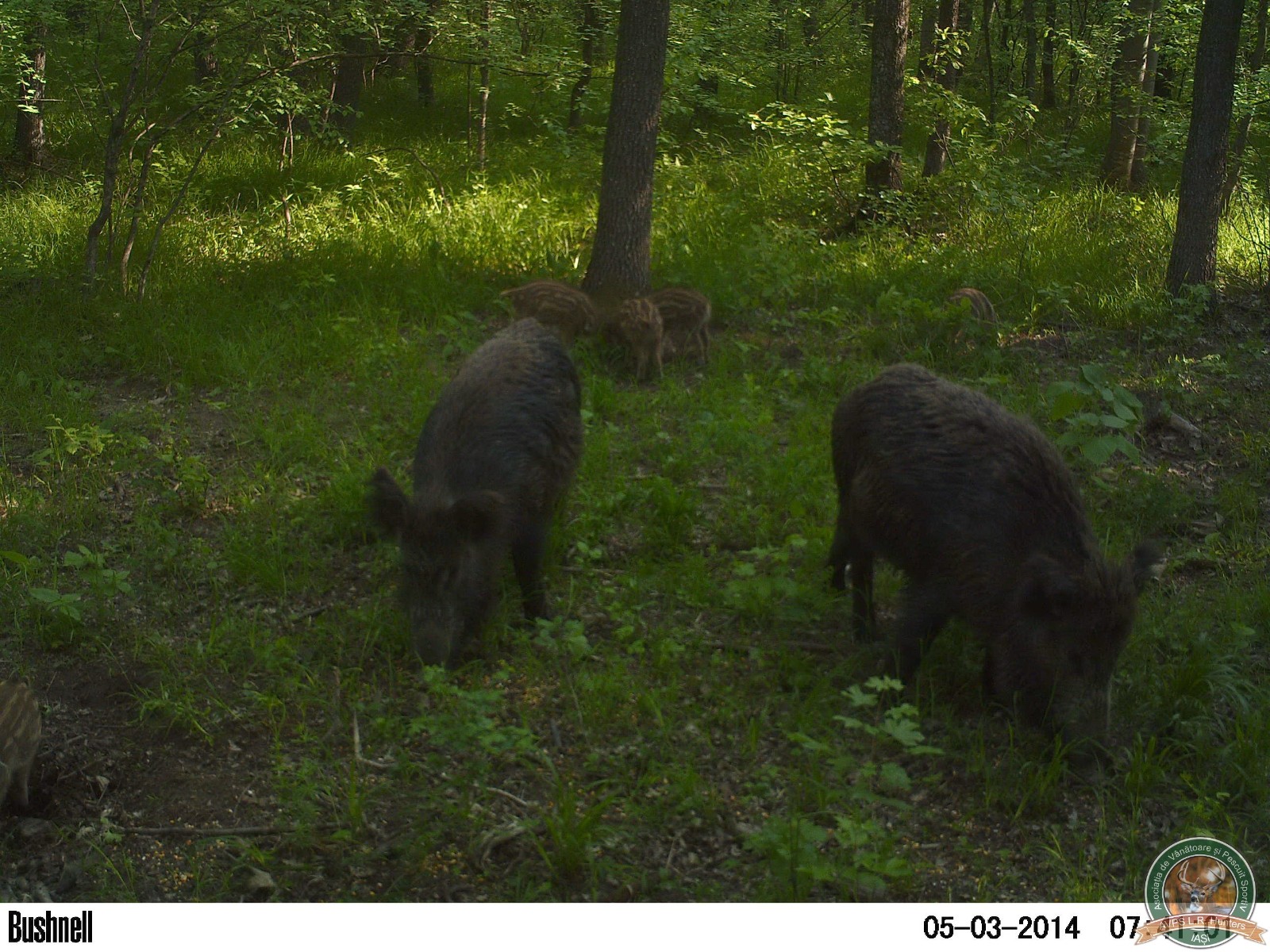 avps-lr-hunters-garceni_4-49