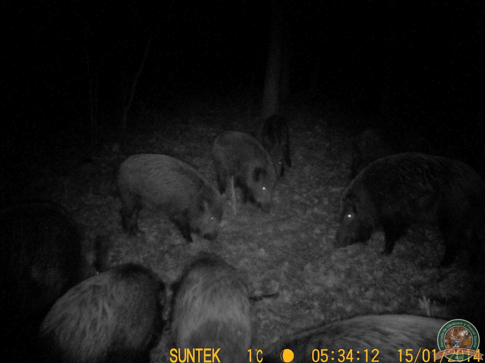 avps-lr-hunters-garceni_4-54