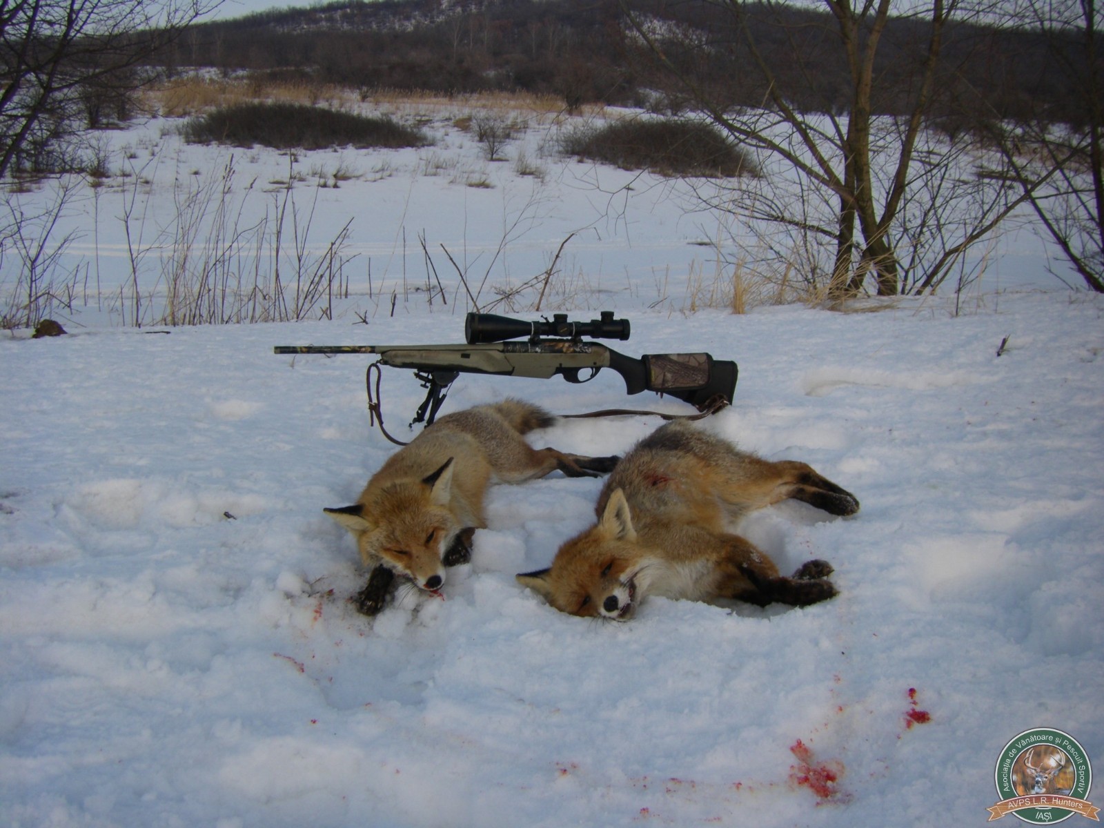 avps-lr-hunters-garceni_4-56
