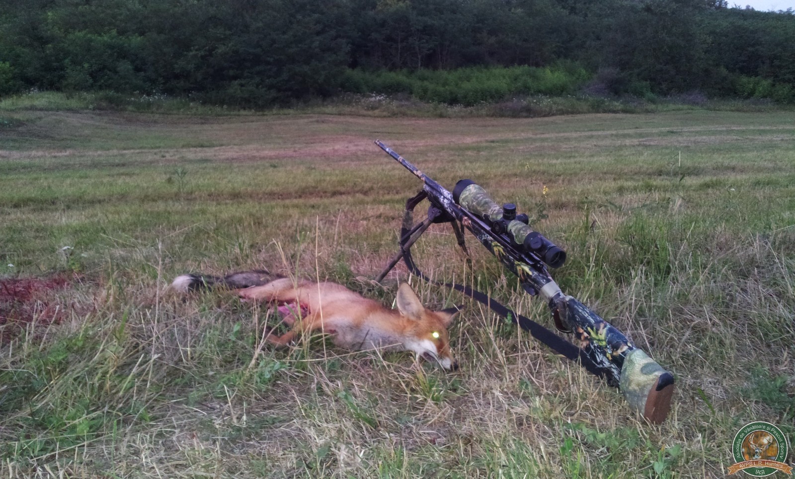 avps-lr-hunters-garceni_4-7