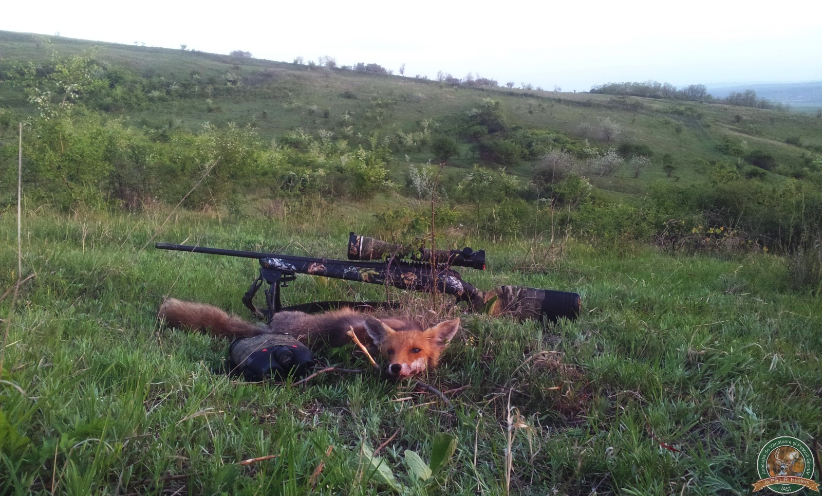 avps-lr-hunters-garceni_4-8