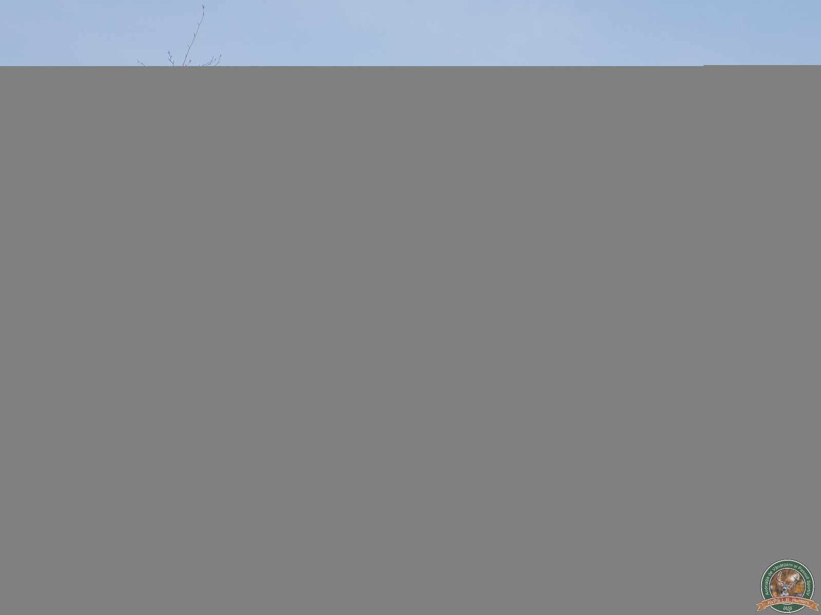 avps-lr-hunters-lepsa_20-22