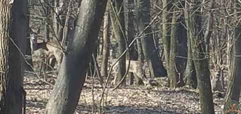 avps-lr-hunters-lepsa_20-23