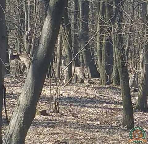 avps-lr-hunters-lepsa_20-24