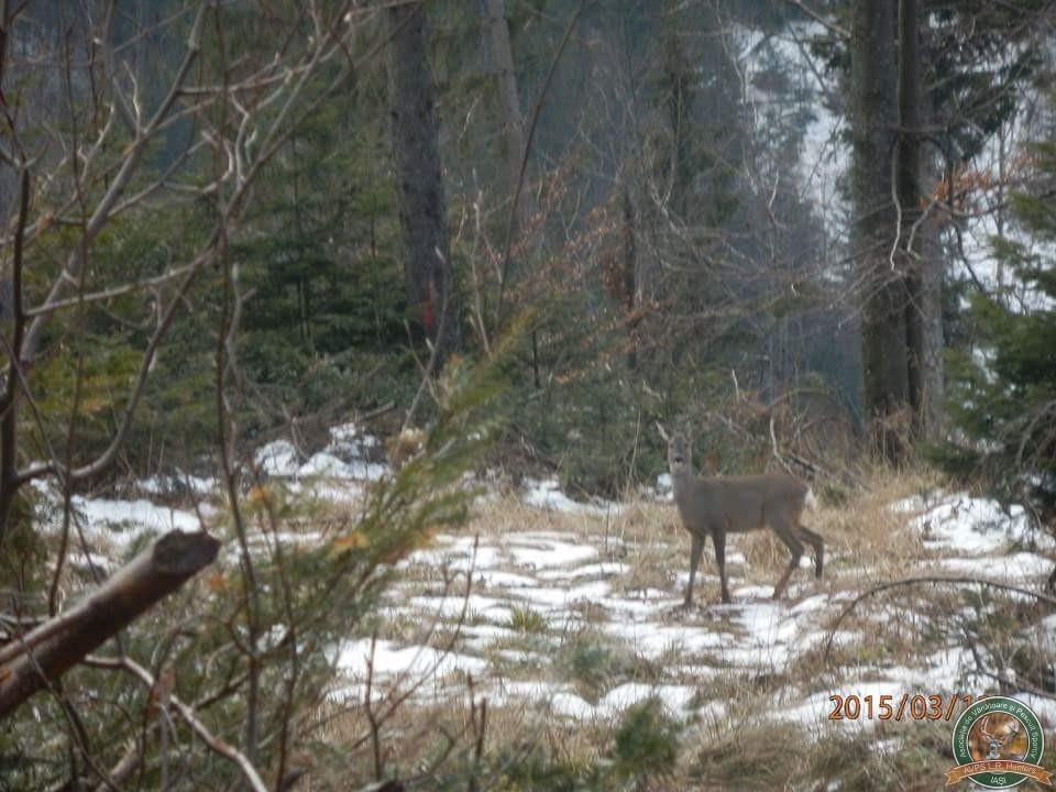 avps-lr-hunters-lepsa_20-25