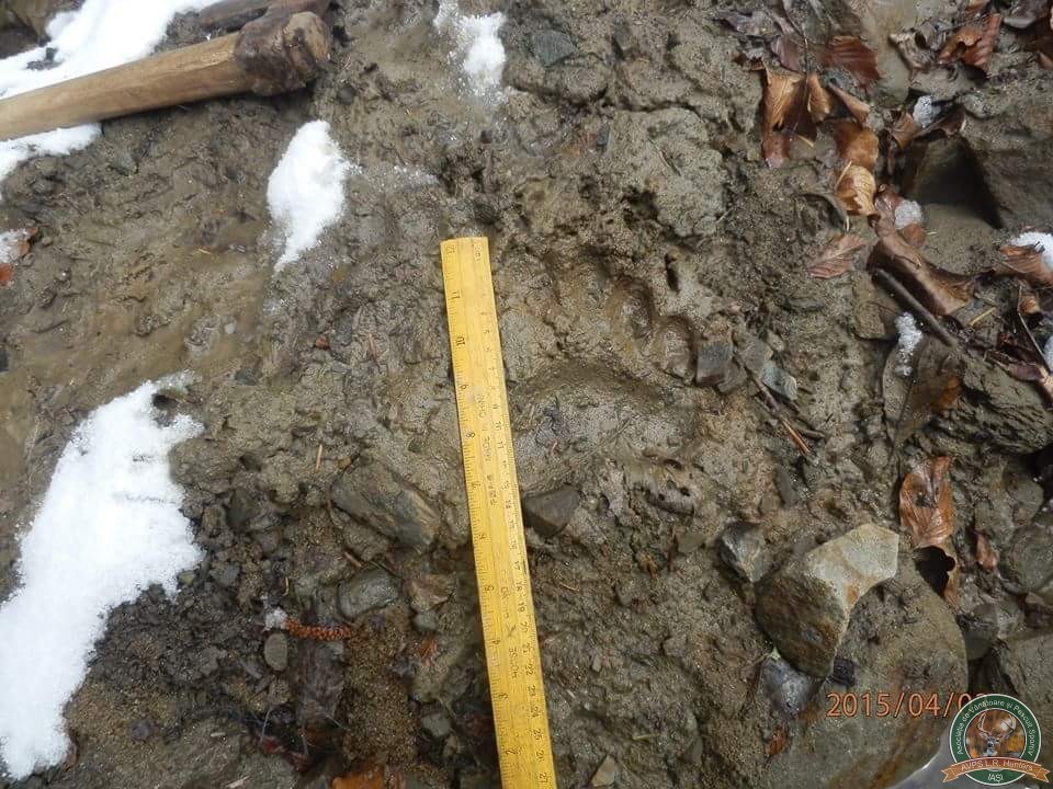 avps-lr-hunters-lepsa_20-31