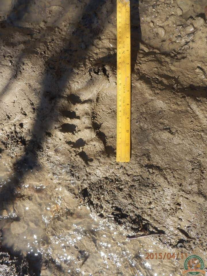 avps-lr-hunters-lepsa_20-36