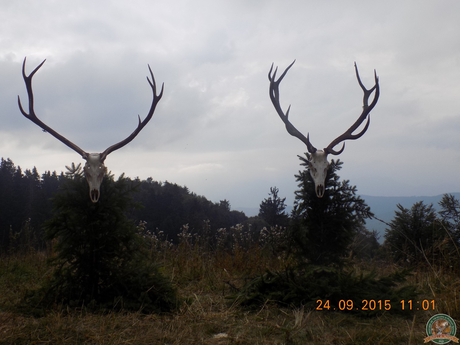 avps-lr-hunters-lepsa_20-55