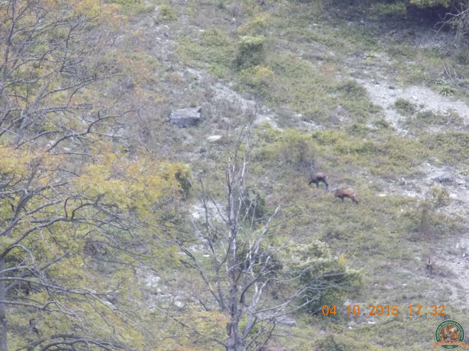 avps-lr-hunters-lepsa_20-59