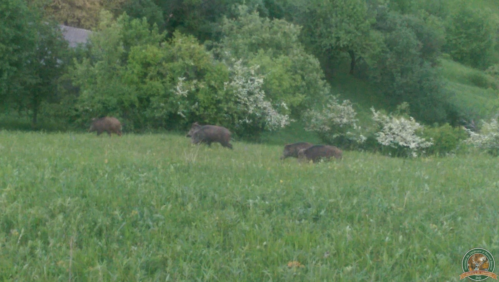 avps-lr-hunters-lepsa_20-74