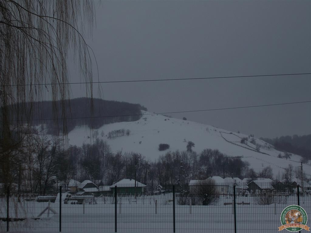 avps-lr-hunters-liteni_60-35
