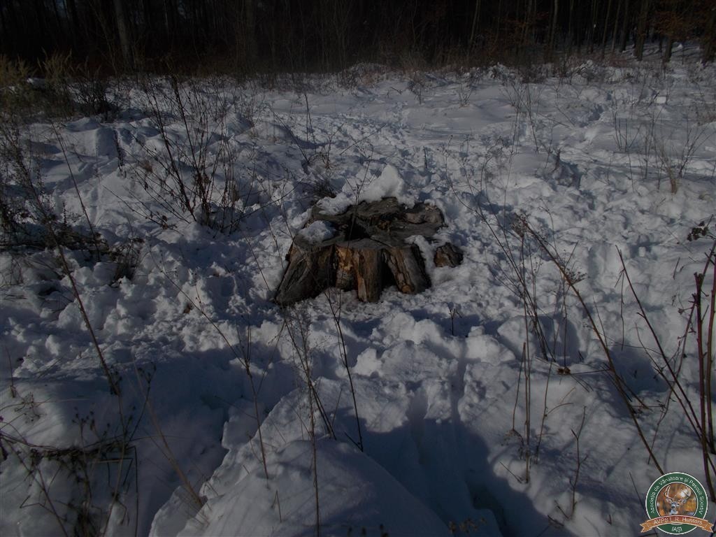 avps-lr-hunters-liteni_60-38
