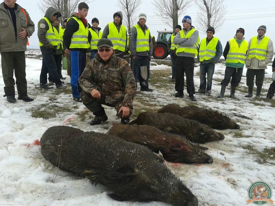 avps-lr-hunters-tibana_53-15