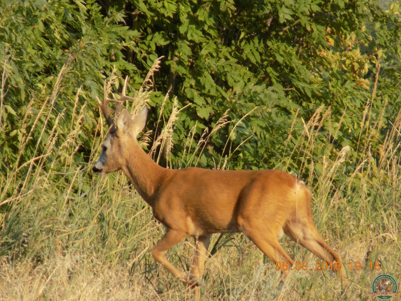 avps-lr-hunters-turia_22-10