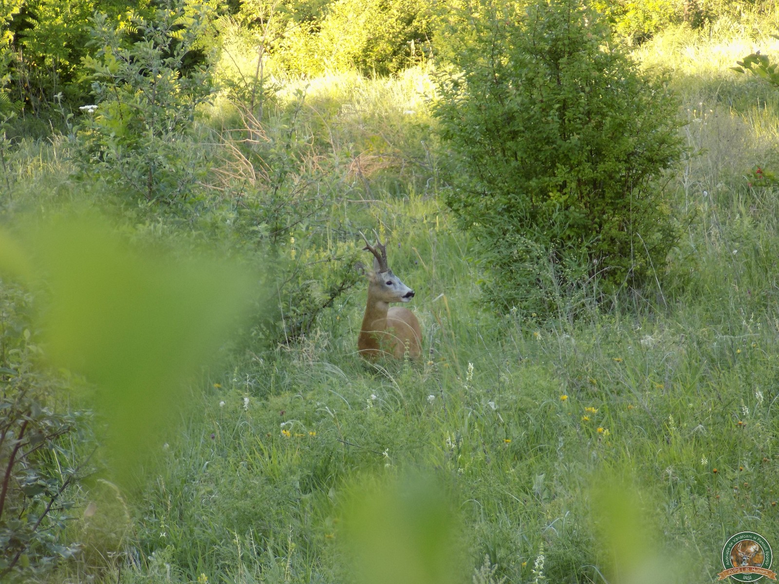 avps-lr-hunters-turia_22-5