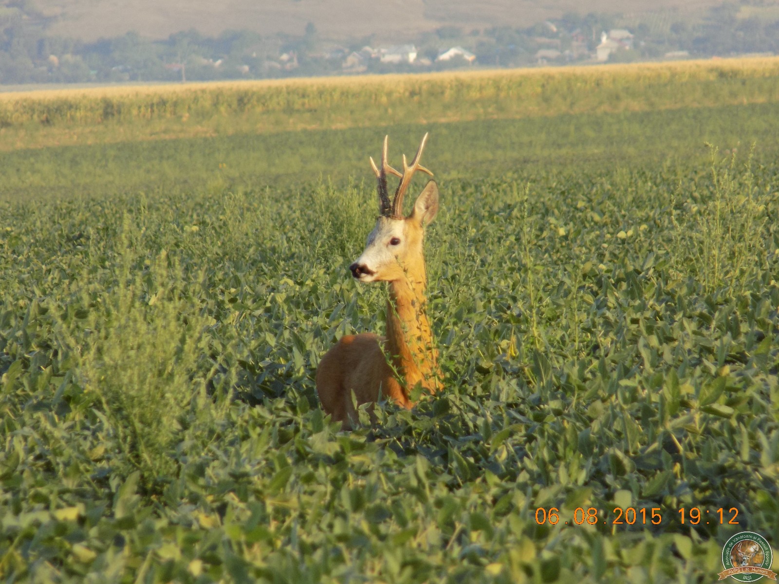 avps-lr-hunters-turia_22-9