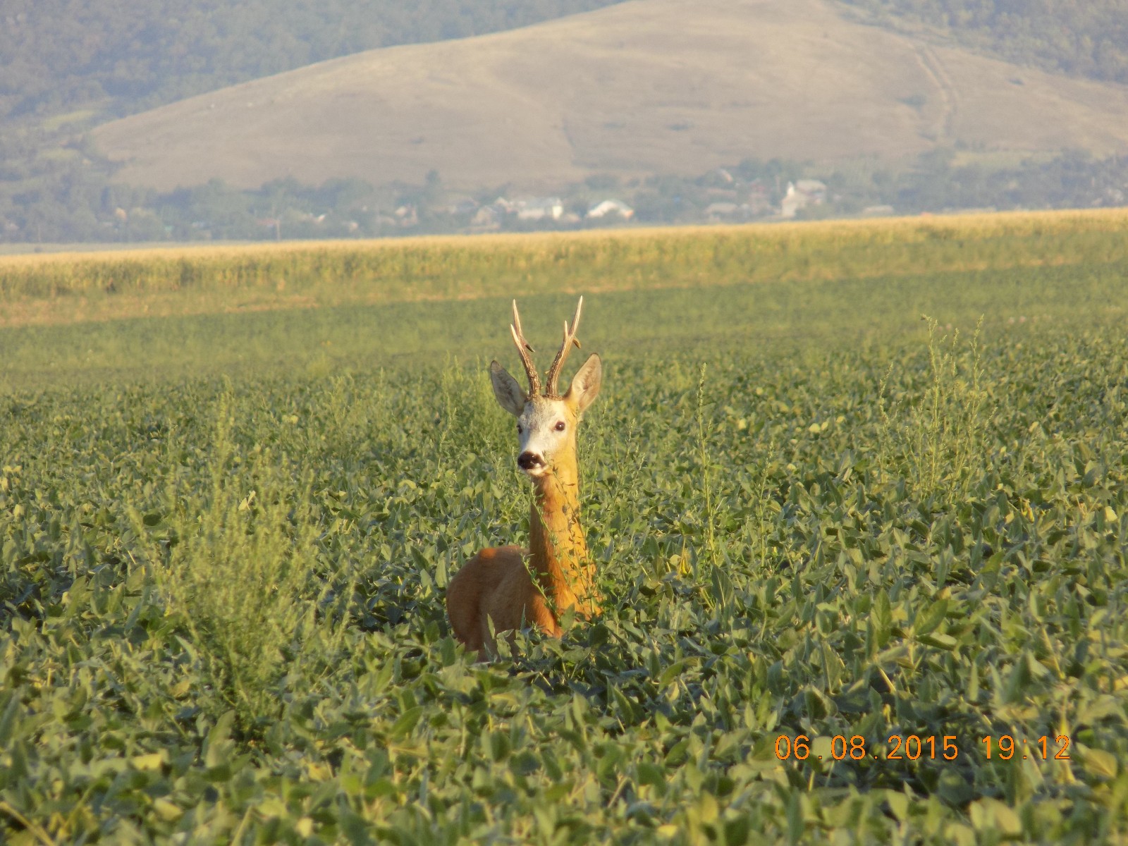 DSCN0420