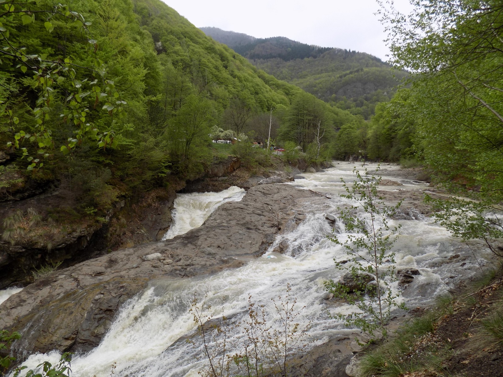 lepsa_rau