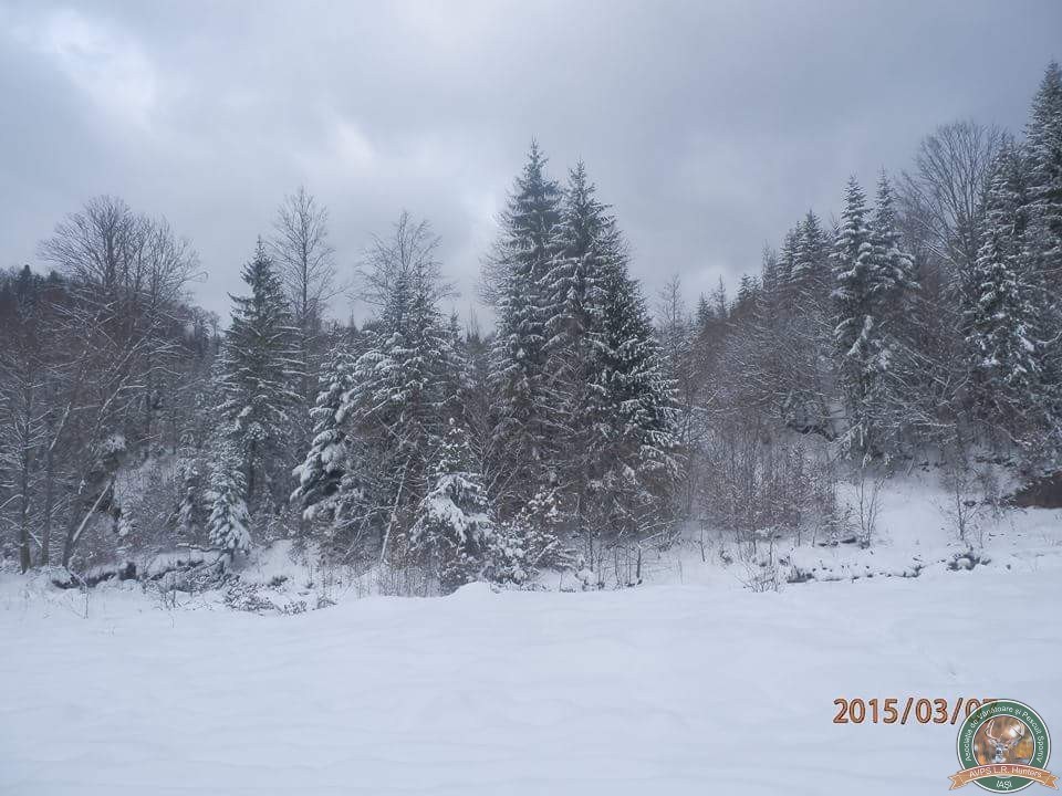 avps-lr-hunters-iarna_la_vanatoare-16