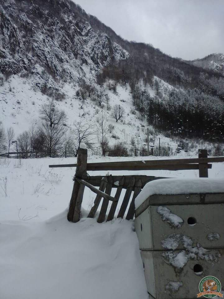avps-lr-hunters-iarna_la_vanatoare-24
