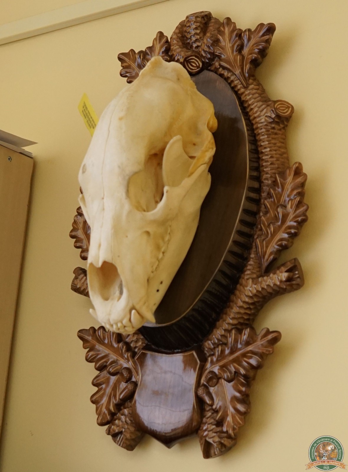 avps-lr-hunters-trofee-8